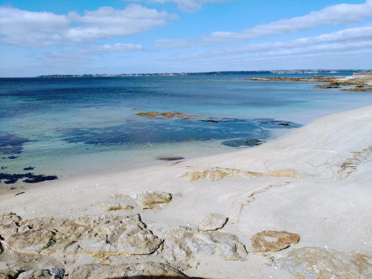 L'Ocean A 100M Via Une Venelle Privee, La Ville Close A 500M, L'Archipel Des Glenan A L'Horizon Concarneau Bagian luar foto